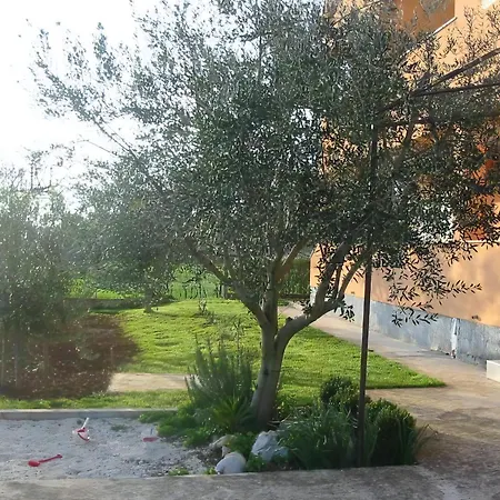 Oleander App Pula A2