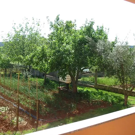 Oleander App Pula A2 *